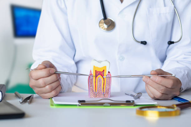Best Emergency Treatment for Dental Infections or Abscesses in Fairfield Beach, OH